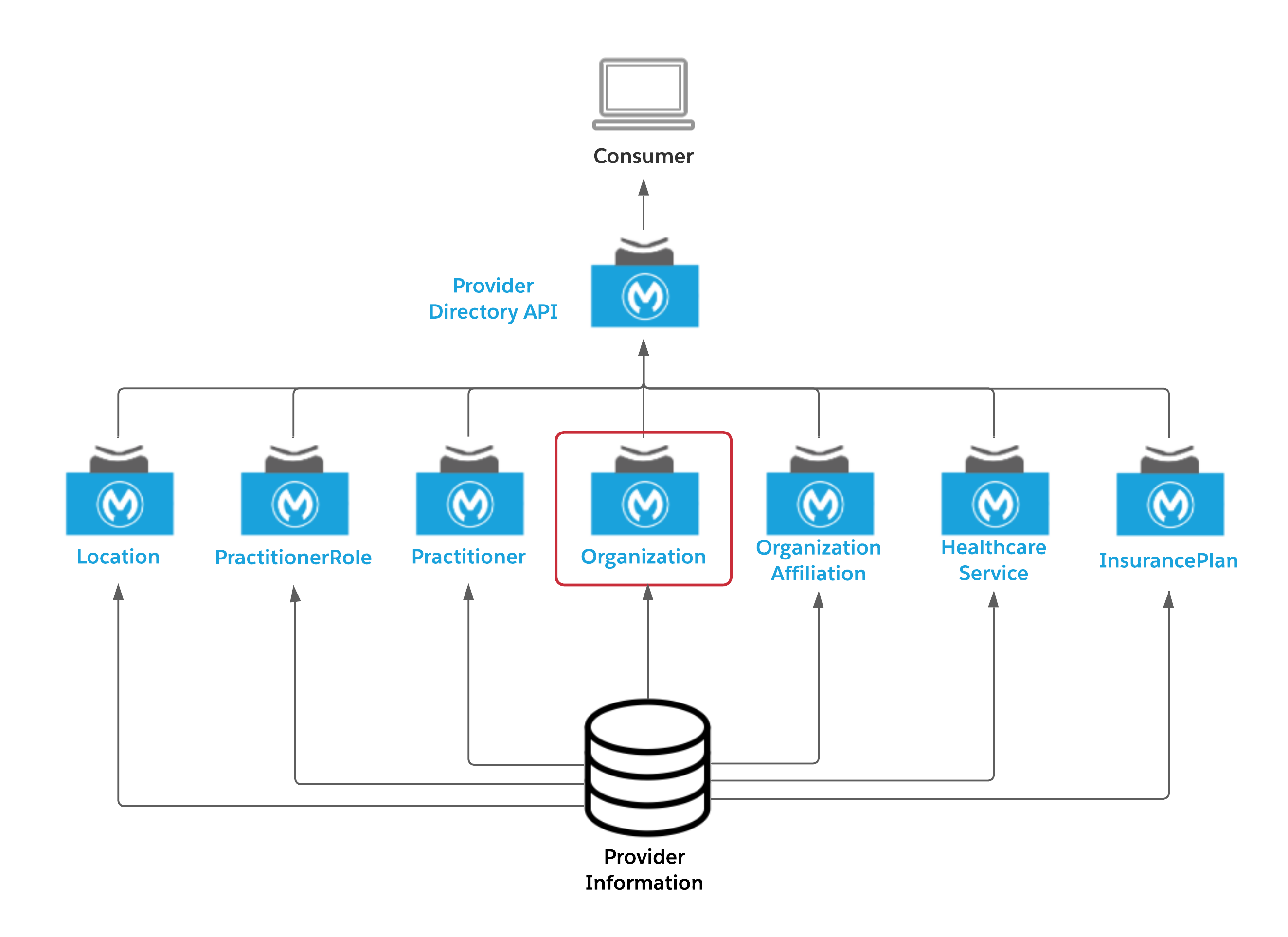 API Led diagram for Organization API