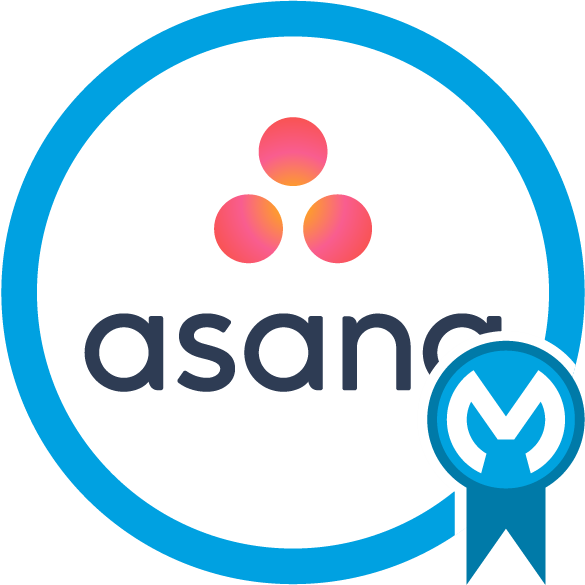 Asana Connector - Mule 3 icon